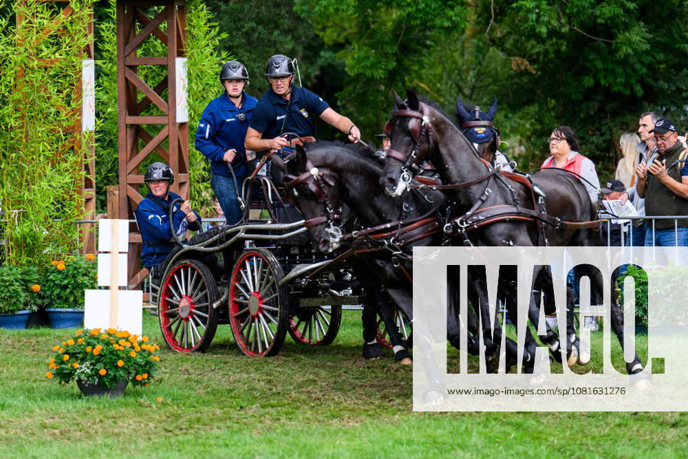 Fredrik Persson of Sweden with horses Fasco, Hertog Jan, Judson and Kermit compete in the Four-in-Hand Marathon during day 12 of the 2026 FEI World Championships on August 22, 2026 in Aachen. Photo: Emma Wallskog BILDBYRAN kod EW EW0697 ridsport equestrian rid-vm 2026 2026 fei world championships bbeng ridsport-vm fyrspann drivning körning