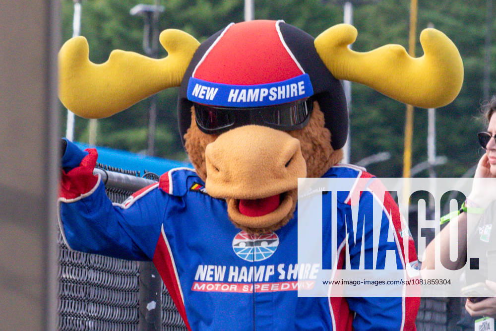 LOUDON, NH - AUGUST 23: Milo the moose hangs out in victory lane waiting for the conclusion of the NASCAR, Motorsport, USA Cup Series Dollar Tree 301 on August 23, 2026, at New Hampshire Motor Speedway in Loudon, NH. (Photo by David Hahn Icon Sportswire) AUTO: AUG 23 NASCAR Cup Series Dollar Tree 301 Icon260823017