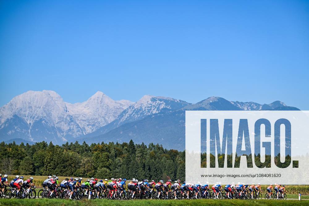 The pack of riders pictured during the elite women Road Race race (130 km) at the cycling UEC Road European Championships, in Ljubljana, Slovenia Saturday 3 October 2026. The UEC Road European Championships are taking place from 02 to 07 October in Ljubljana, Slovenia. DAVIDxPINTENS x188619666x