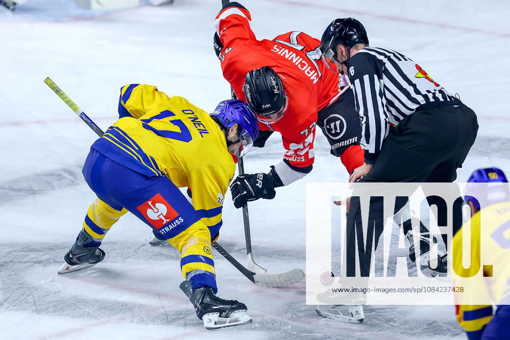 Eishockey, CHL, Kölner Haie - Blue Fox Herning, Champions Hockey League 2026 27, 5. Spieltag, Saison 2026 27, Lanxess-Arena Köln: Kevin David O Neil (Blue Fox Herning 17) im Zweikampf gegen Ryan MacInnis (Koelner Haie 77) beim Kampf um den Bully Nordrhein-Westfalen Deutschland
