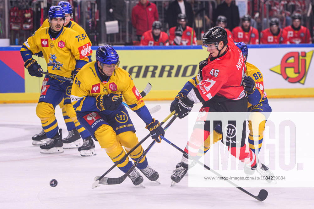 COLOGNE, GERMANY - 7 OCTOBER, 2026: - The Champions Hockey League match Koelner Haie vs. Herning Blue Fox at LANXESS arena.