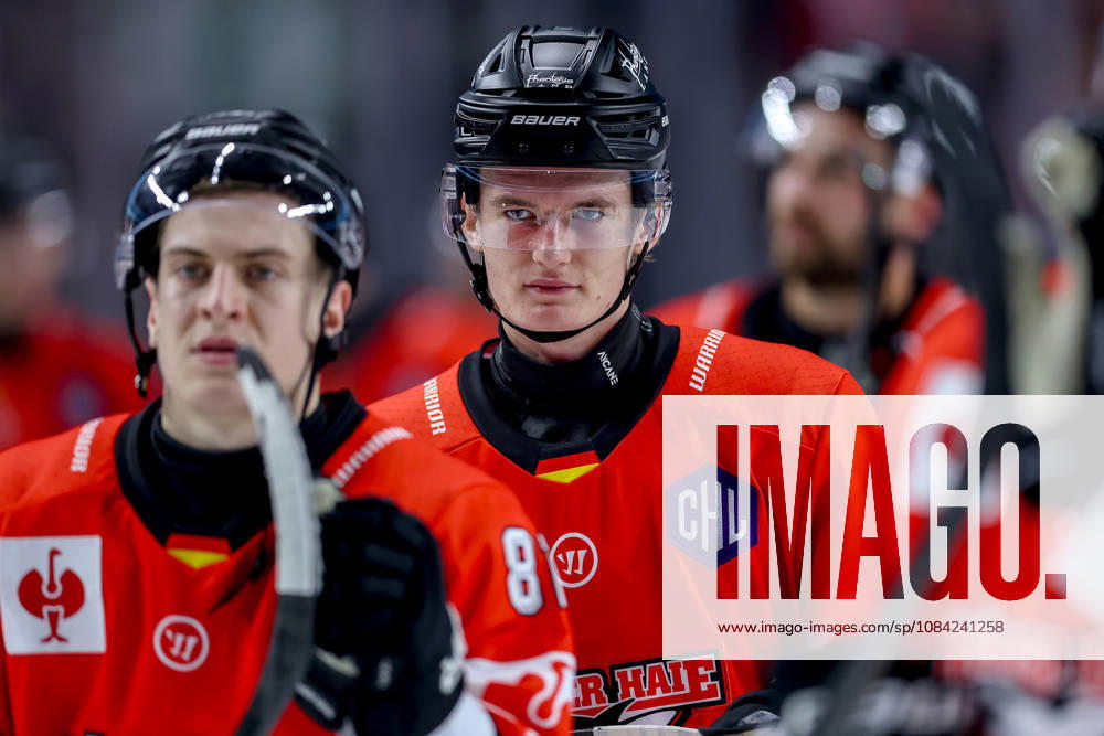 Eishockey, CHL, Kölner Haie - Blue Fox Herning, Champions Hockey League 2026 27, 5. Spieltag, Saison 2026 27, Lanxess-Arena Köln: Abschlussjubel nach dem 3:0 Sieg - Maximilian Kammerer (Koelner Haie 09) Nordrhein-Westfalen Deutschland