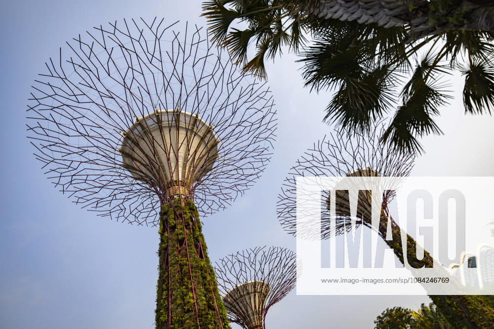 F1 - SINGAPORE GRAND PRIX 2026 Gardens by the Bay, ambiance during the 2026 Formula 1 Singapore Grand Prix, 17th round of the 2026 Formula One World Championship, WM, Weltmeisterschaft from October 9 to 11, 2026 on the Marina Bay Street Circuit, in Singapore, Singapore - SingaporeSingapore