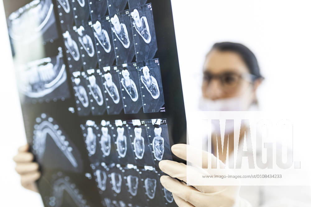 Female dentist reviewing the patient s x-ray, Model released