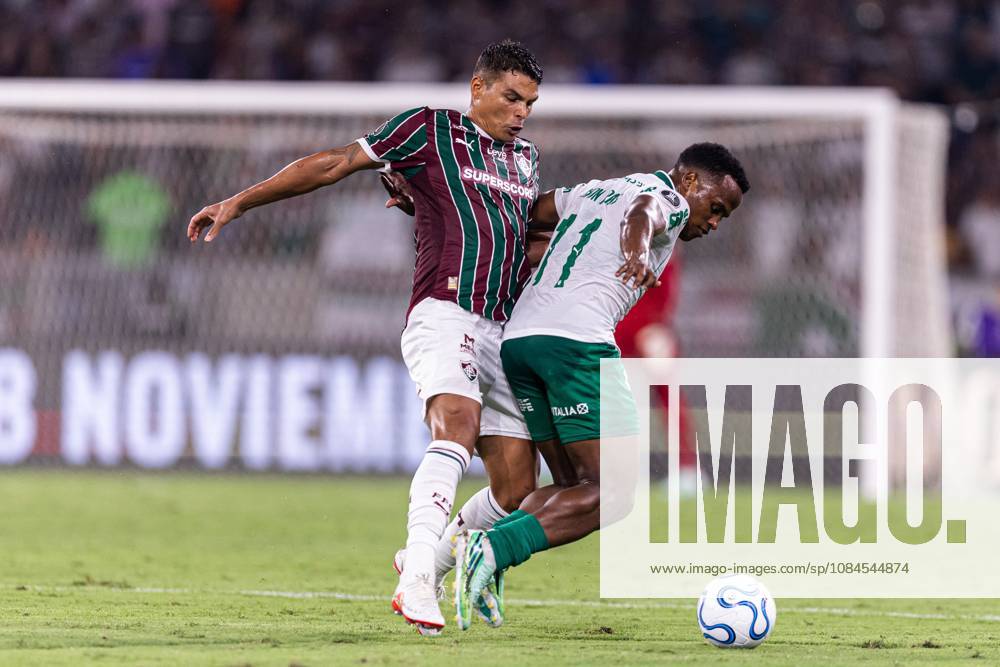 FLUMINENSE X PALMEIRAS RIO DE JANEIRO (RJ), 10 14 2026 - SPORTS FOOTBALL RJ - Match between Fluminense and Palmeiras, valid for the semi-finals of the Copa Libertadores, held in the city of Rio de Janeiro this Wednesday, October 14, 2026. (Photo: Joao Luna Photo Premium SPP) 30930 (Joao Luna SPP)
