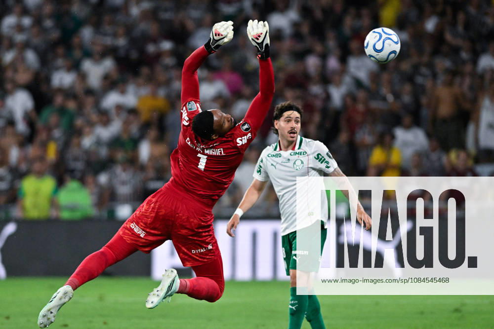 Carlos Miguel of Palmeiras concedes a goal by Wesley Nata of Fluminense (not in picture) during the Copa CONMEBOL Libertadores 2026 match between Fluminense and Palmeiras at Maracana on October 14, 2026 in Rio de Janeiro, Brazil (Photo by Andre Ricardo Sports Press Photo SPP)