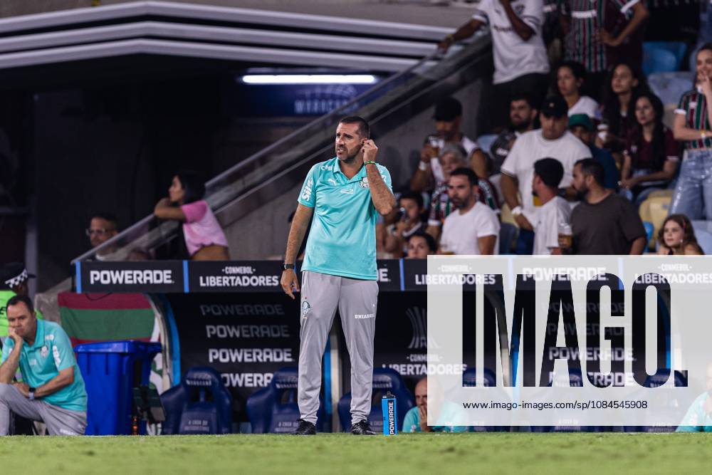 FLUMINENSE X PALMEIRAS RIO DE JANEIRO (RJ), 10 14 2026 - SPORTS FOOTBALL RJ - Match between Fluminense and Palmeiras, valid for the semi-finals of the Copa Libertadores, held in the city of Rio de Janeiro this Wednesday, October 14, 2026. (Photo: Joao Luna Photo Premium SPP) 30930 (Joao Luna SPP)