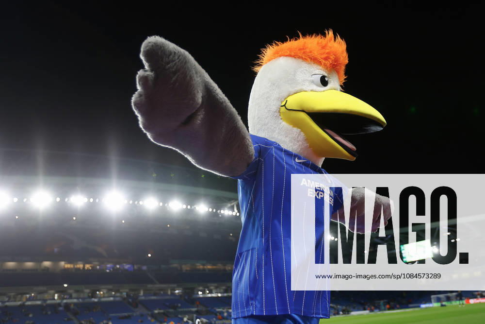 15th October 2026; American Express Stadium, Brighton, England; UEFA Conference League Football, Brighton and Hove Albion versus Kauno Zalgiris; Brighton and Hove Albion American Express Mascot ChrisxRoll