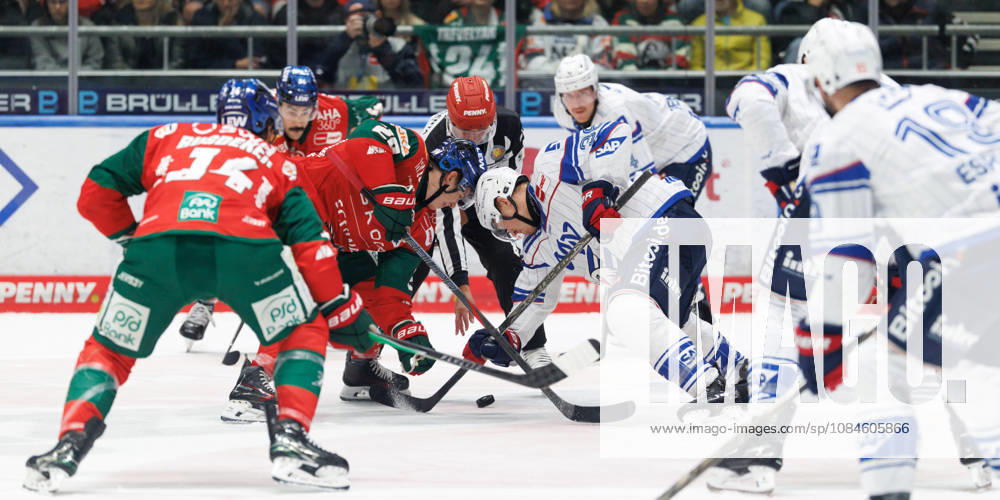 Philipp Krauss (20, Augsburger Panther) und Patrick Brown (38, Adler Mannheim) beim Spiel zwischen Augsburger Panther v Adler Mannheim, Eishockey, Herren, DEL, 2026 2027, 9.Spieltag am 16.10.2026 in Augsburg, Curt-Frenzel-Stadion. Bayern Deutschland