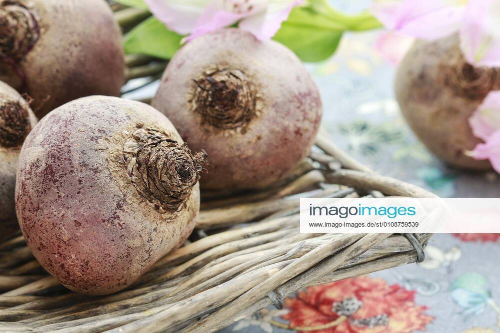 Beetroots in wicker basket. Healthy food BEW1D646200