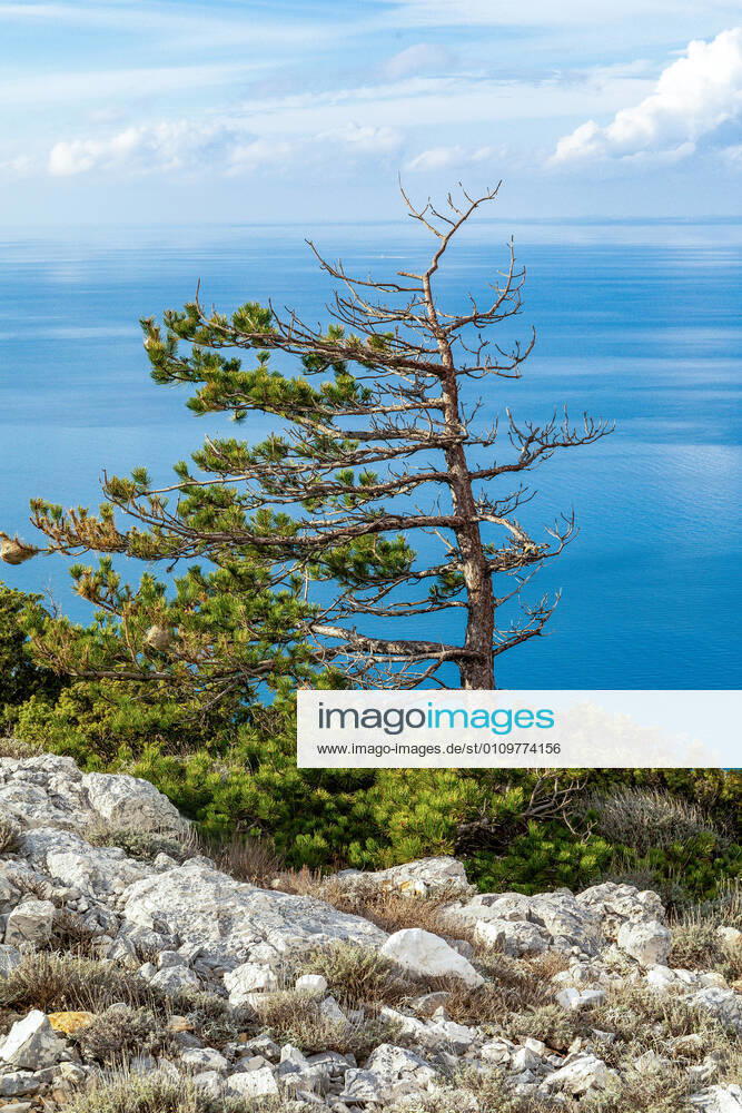 PXL_Osorscica mountain Photo taken on Jan. 12, 2021 show Osorscica mountain , Losinj Island, Croatia. Osorscica mountain spreads along the northern part of the island of Losinj from Cunski to Osor, and it is about 20 kilometres long. It is the first mountain on the islands of Adriatic to have attracted visitors, heir to the Austro-Hungarian throne Rudolf Habsburg was surely one of the first, having climbed Osorscica in 1887. Osorscica is well-known for many caves and the most famous are St. Gaudentius cave, located below the peak Televrina on the eastern side, and Vela Jama on the western side of Televrina. It is about 40 metres deep and remains of people were found here from about 10.000 years ago. SreckoxNiketic PIXSELL