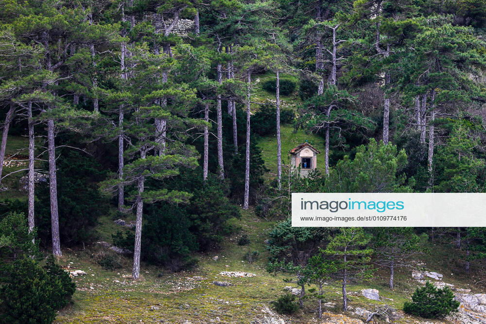 PXL_Osorscica mountain Photo taken on Jan. 12, 2021 show Osorscica mountain , Losinj Island, Croatia. Osorscica mountain spreads along the northern part of the island of Losinj from Cunski to Osor, and it is about 20 kilometres long. It is the first mountain on the islands of Adriatic to have attracted visitors, heir to the Austro-Hungarian throne Rudolf Habsburg was surely one of the first, having climbed Osorscica in 1887. Osorscica is well-known for many caves and the most famous are St. Gaudentius cave, located below the peak Televrina on the eastern side, and Vela Jama on the western side of Televrina. It is about 40 metres deep and remains of people were found here from about 10.000 years ago. SreckoxNiketic PIXSELL