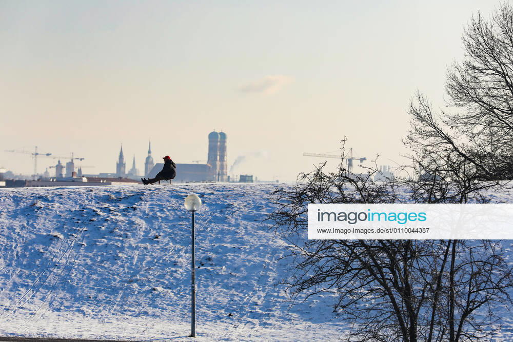 Freizeitaktivitäten im Olympiapark 15.01.2021 MÜNCHEN Schlittenfahrer auf dem Olympiaberg - Im Hintergrund die Skyline von München, inklusive Frauenkirche. München Bayern Deutschland
