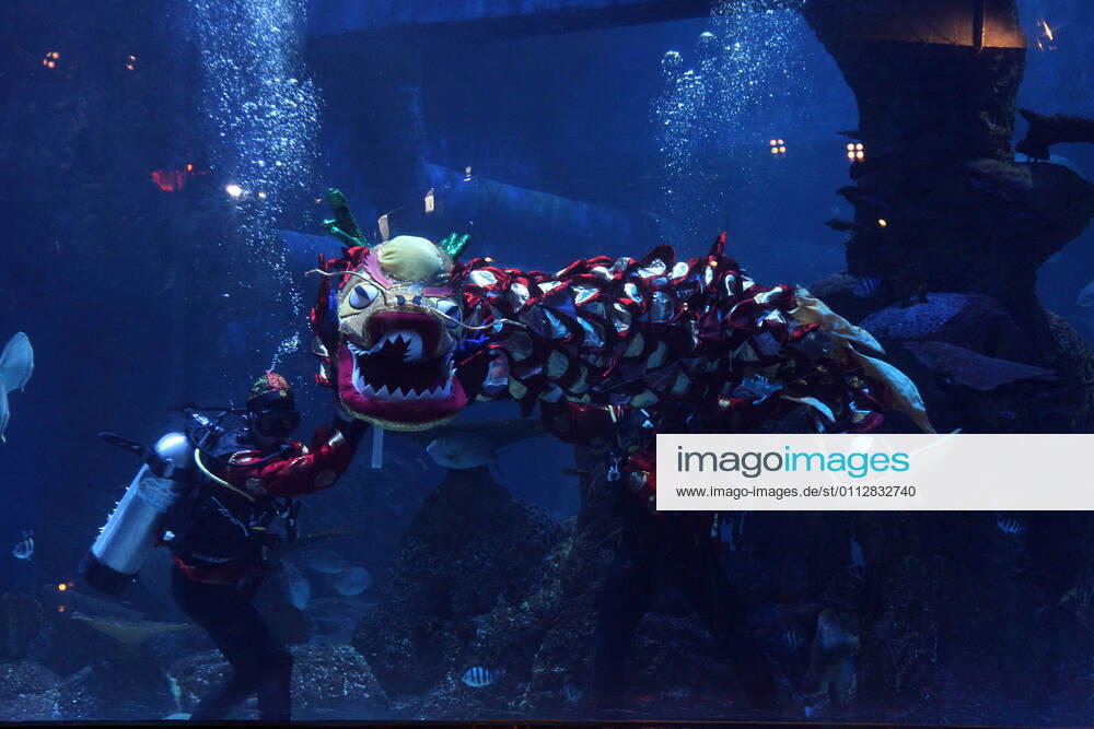 The Liong Show Underwater attraction with mermaids played by safety divers and free divers enlivened in celebration of Chinese New Year 2572 at the Jakarta Aquarium and Safari at the Neo Soho mall, Jakarta, on February 12,2021. The show was in order to enliven Chinese New Year and as a means of recreation for children and families where there was a concession from the government during the COVID-19 pandemic by implementing strict health protocols. Jakarta Indonesia - ZUMAr173 20210212_zip_r173_001