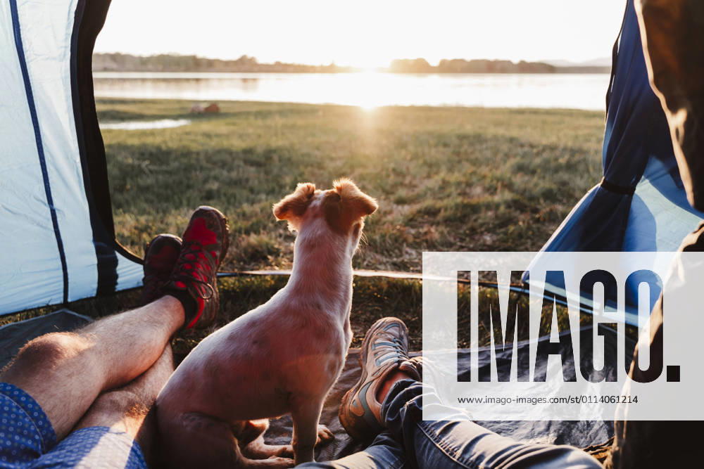 Legs of male and female friends with dog relaxing in tent at sunset model released Symbolfoto property released EBBF02204