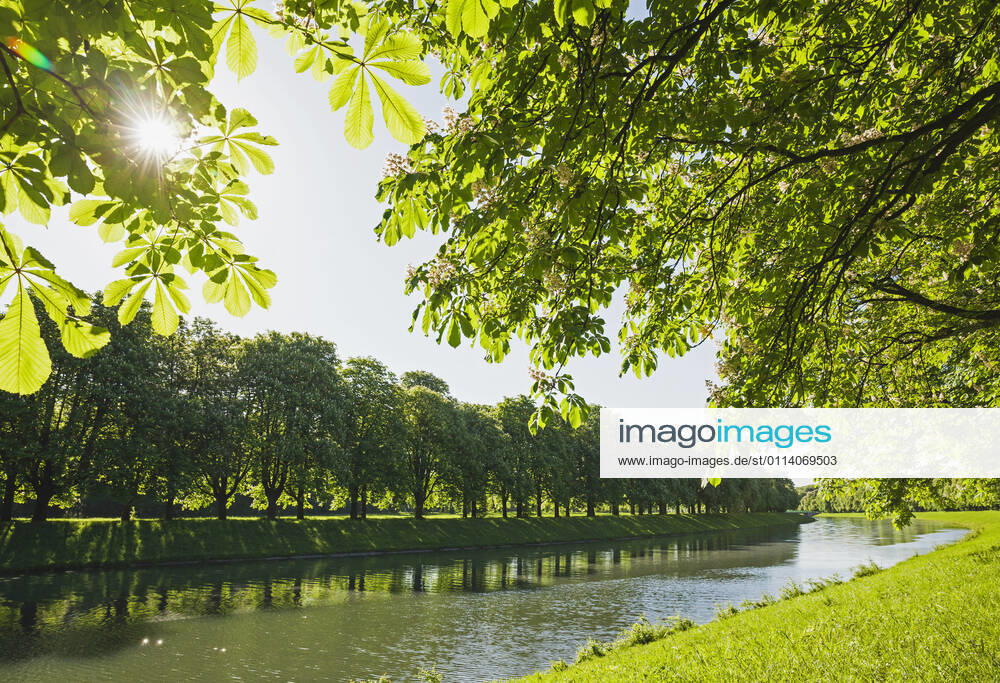 Germany, North Rhine-Westphalia, Cologne, Sun shining over treelined Decksteiner Weiher pond in spring GWF06860