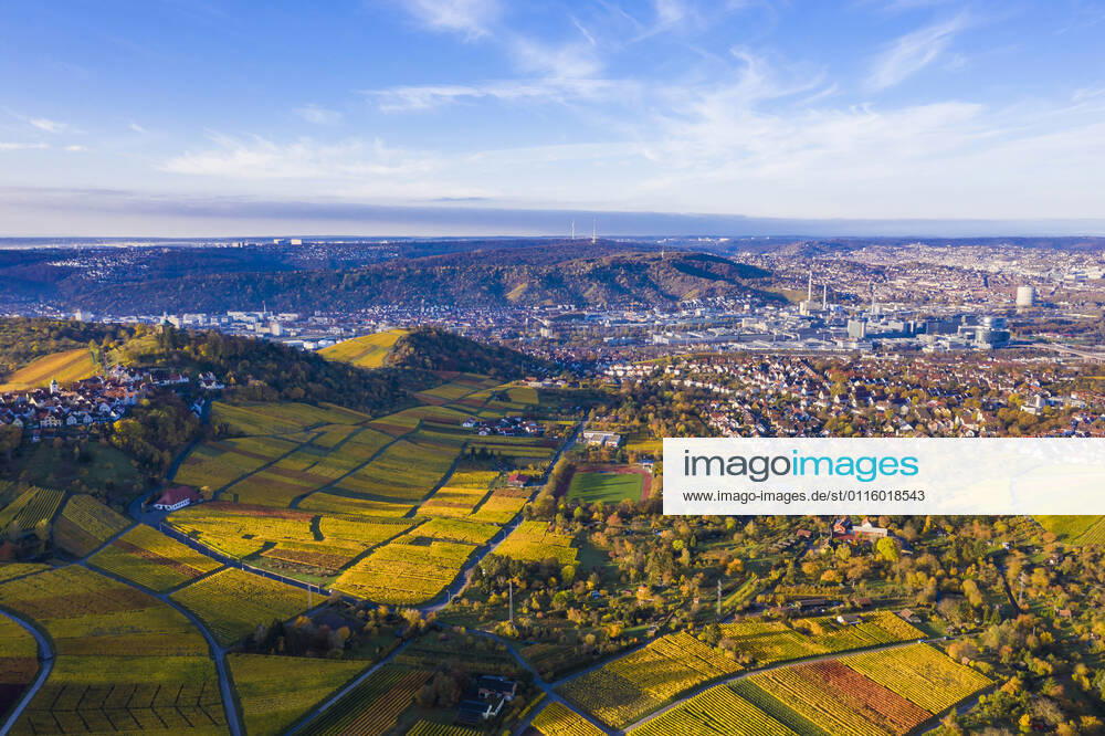 Germany, Baden Wurttemberg, Stuttgart, Aerial view of vineyards in autumn WDF06549