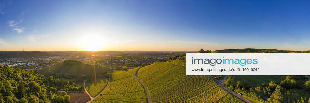 Germany, Baden Wurttemberg, Stuttgart, Aerial view of vineyards at sunset in autumn WDF06551