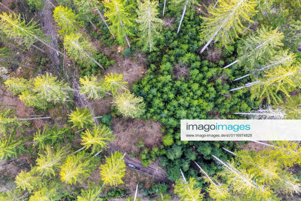 Germany, Baden Wurttemberg, Aerial view of Swabian Forest in spring STSF02921