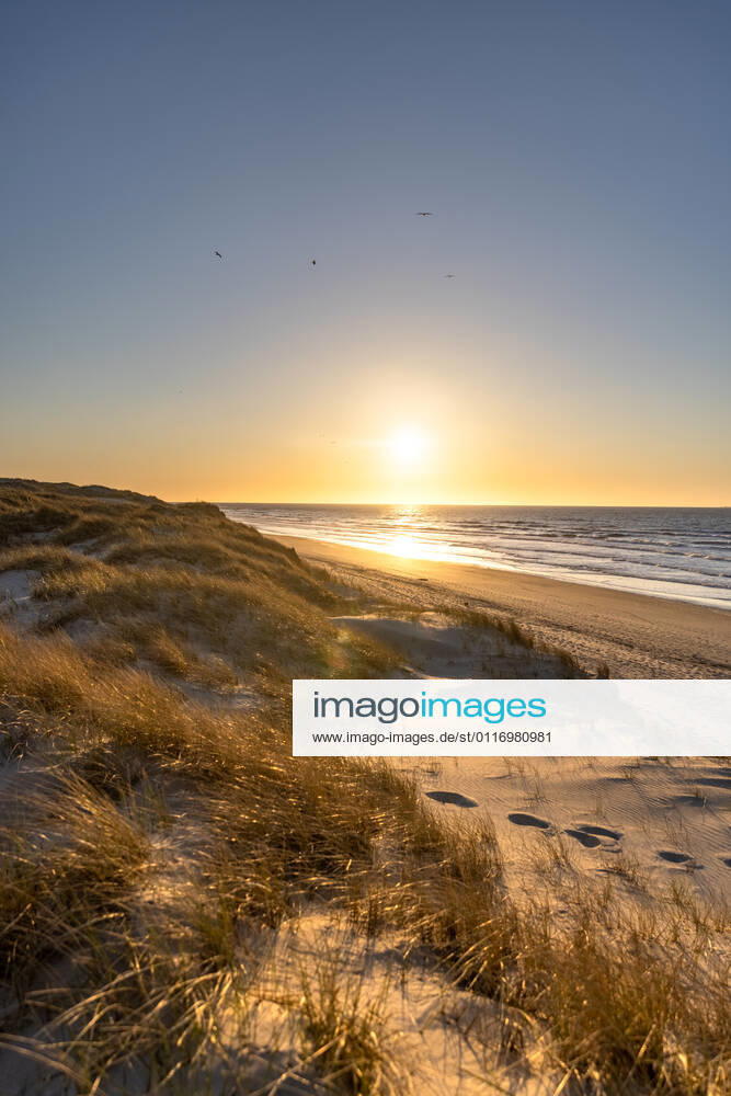 Norderney. 25 APR 2021. Sonnenuntergang in den Dünen am Strandbad Weiße Düne auf Norderney. Ruhiger Frühlingsabend an der Nordsee. OSTFRIESLAND. Ostfriesische Inseln.