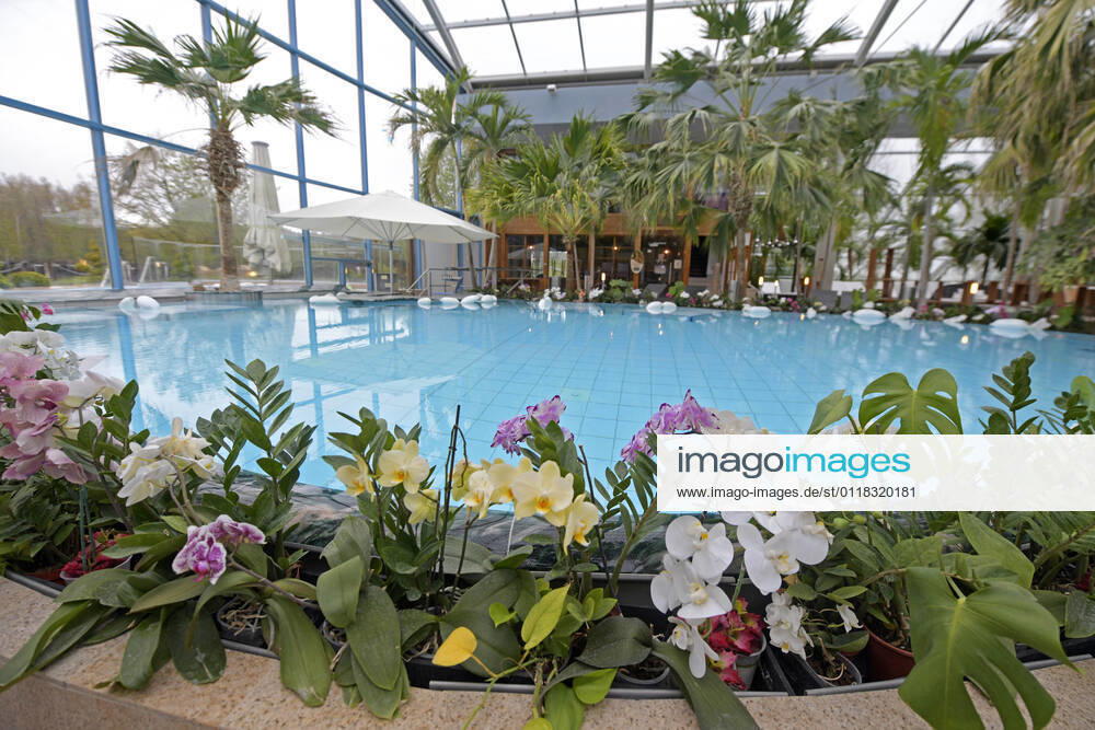 Bad Wörishofen, 300 Tage im Corona-Lockdown, die Therme in Bad Wörishofen nutzt die Zeit ohne Gäste um umfangreiche Renovierungen und Neubauten zu realisieren. Geschäftsführer Jörg Wund hofft auf bald sinkende Infektionszahlen um Aussicht auf Wiedereröffnung zu haben. Die Therme musste bisher einen Umsatzrückgang von 12 Millionen Euro verkraften. Hier der Saunabereich mit den Palmen und Orchideen am Beckenrand. 18.05.2021, Bad Wörishofen Therme 300 Tage im Lockdown 18.05.2021, Bad Wörishofen Therme 300 Tage im Lockdown