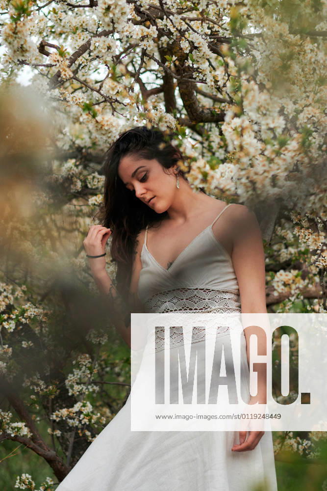 Young female with tattooed arm wearing white dress and standing in flowers of tree looking down, Model released, Property released