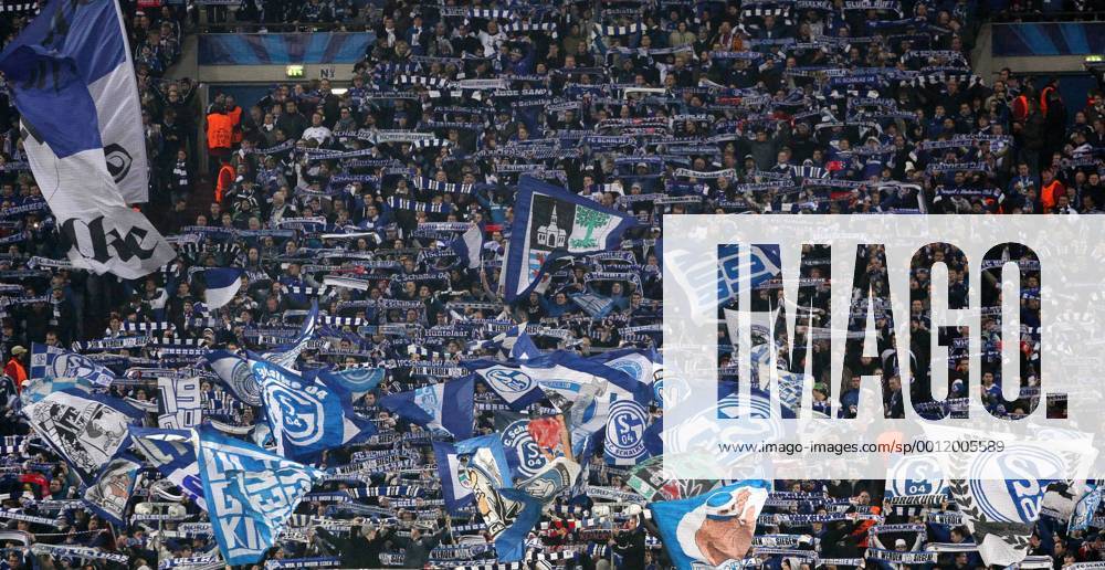 Mittwoch 21.11.2012, UEFA Champions League, Saison 12 13 - 5. Spieltag in Gelsenkirchen, FC Schalke 04 - Fans vom FC Schalke 04 DeFodi028