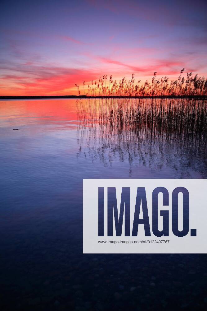 See mit Schilf bei Sonnenuntergang, Plauer See, Mecklenburg-Vorpommern, Deutschland, Europa