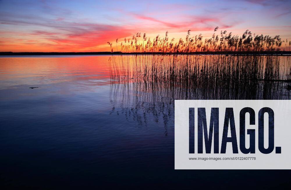 See mit Schilf bei Sonnenuntergang, Plauer See, Mecklenburg-Vorpommern, Deutschland, Europa