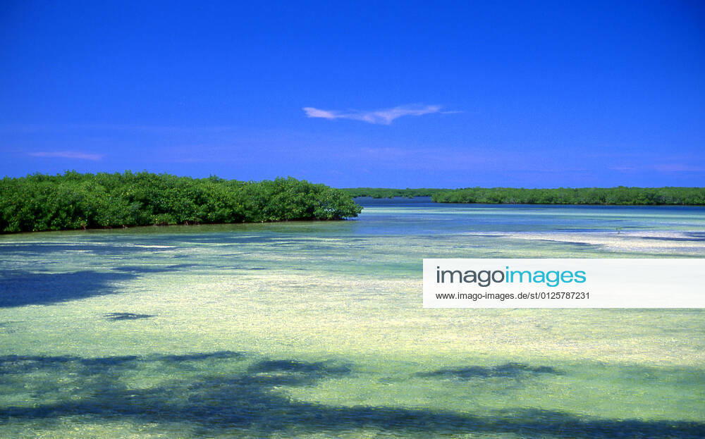Cayo Coco, used as a hideout by buccaneers in the early colonial period, was home to a small settlement of fishermen and charcoal producers until 1955, when the freshwater supply was exhausted and the market for charcoal ended with the spread of electrification after the Cuban Revolution. A causeway connecting the island to the Cuban mainland opened on 26 July 1988, and resort construction began. Cuba: Cayo Coco, Jardines del Rey (Gardens of the King), Ciego de Avila Province MediaxCo.xLtd.x