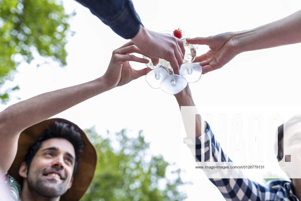 IMAGO Creative: Jahreszeit Frühling, Picknick Friends toasting cocktail during picnic model released Symbolfoto WPEF05035