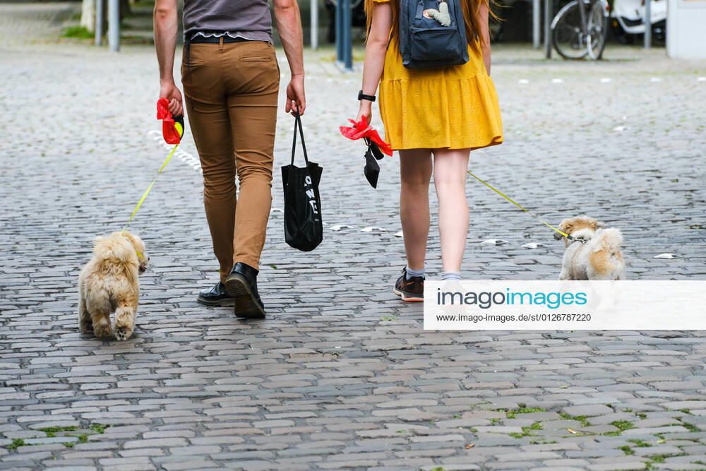 Düsseldorf 22.07.2021 Hund Hunde Gassi gehen gassigehen Spaziergänger spazieren Spaziergang Hundekot Hundekotbeutel Kotbeutel Düsseldorf Nordrhein-Westfalen Deutschland