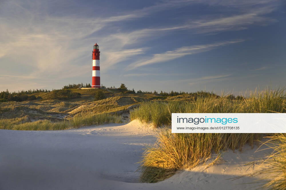 Leuchtturm Amrum in den Duenen am Abend, Deutschland, Schleswig-Holstein, Nordfriesland, Amrum Armrum Lighhouse in the dunes in evening light, Germany, Schleswig-Holstein, Northern Frisia, Amrum BLWS648417