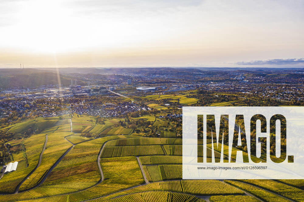Germany, Baden-Wurttemberg, Stuttgart, Aerial view of vast countryside vineyards at autumn sunset WDF06379