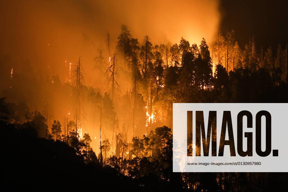 The French Fire burns at Sequoia National Forest near Lake Isabella in Kern County, California, Saturday, August 21, 2021. Kern County USA - ZUMAc68_ 20210821_zaf_c68_005