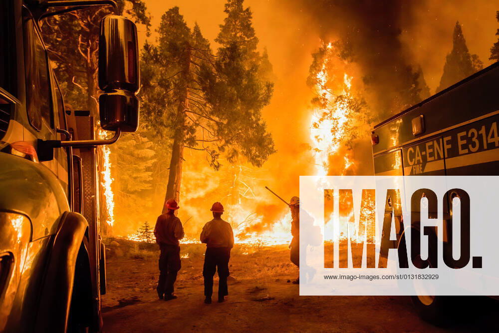 View of burning trees as the Caldor Fire grows to the Tahoe basin..The Caldor fire has grown to over 130,000 acres and threatens to grow to the Tahoe basin. These images where taken at a backfire set by crews in an effort to gain control on the Caldor fire. Cause still unknown at this time. Strawberry United States - ZUMAs197 20210826_zaa_s197_270