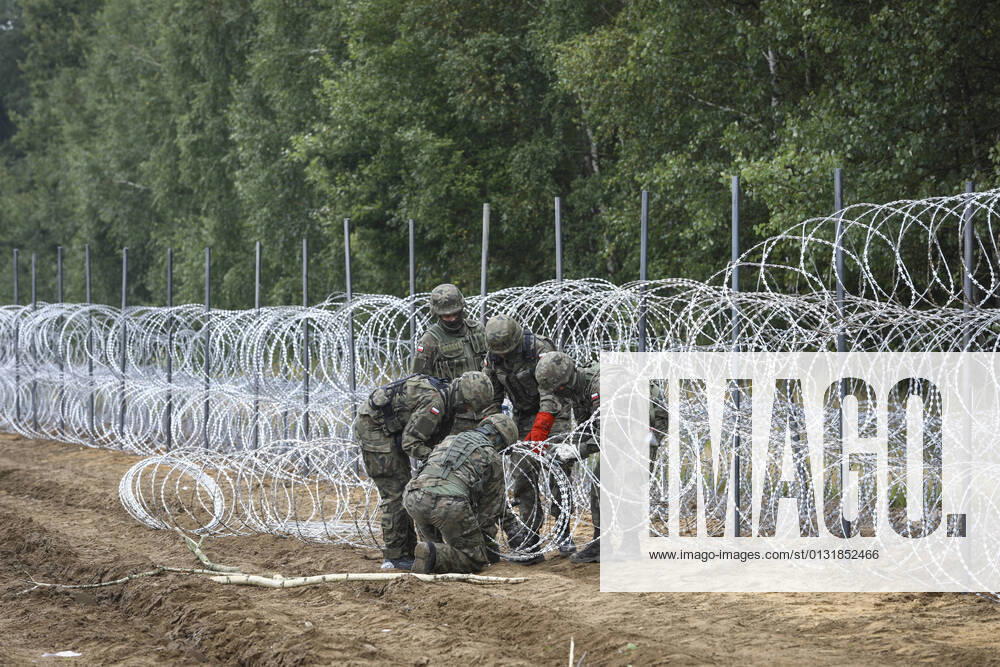 Poland Builds Fence On Belarus Border To Stop Migrant Flow Soldiers of the Polish Army are seen building a fence with concertina wire near the Belarusian border in Krynki, Poland on 27 August, 2021. Poland is building a 100 kilometer long fence to put a halt to an influx of migrants from Belarus. In the month of August more than 2000 migrants have crossed the border to Poland compared to just around 80 in all of last year. The Lukashenko regime is being accused of orchestrating the arrival of thousands of migrants from the Middle East as retaliation for EU sanctions. Krynki Grodno Poland arriens-polandbu210827_np1En