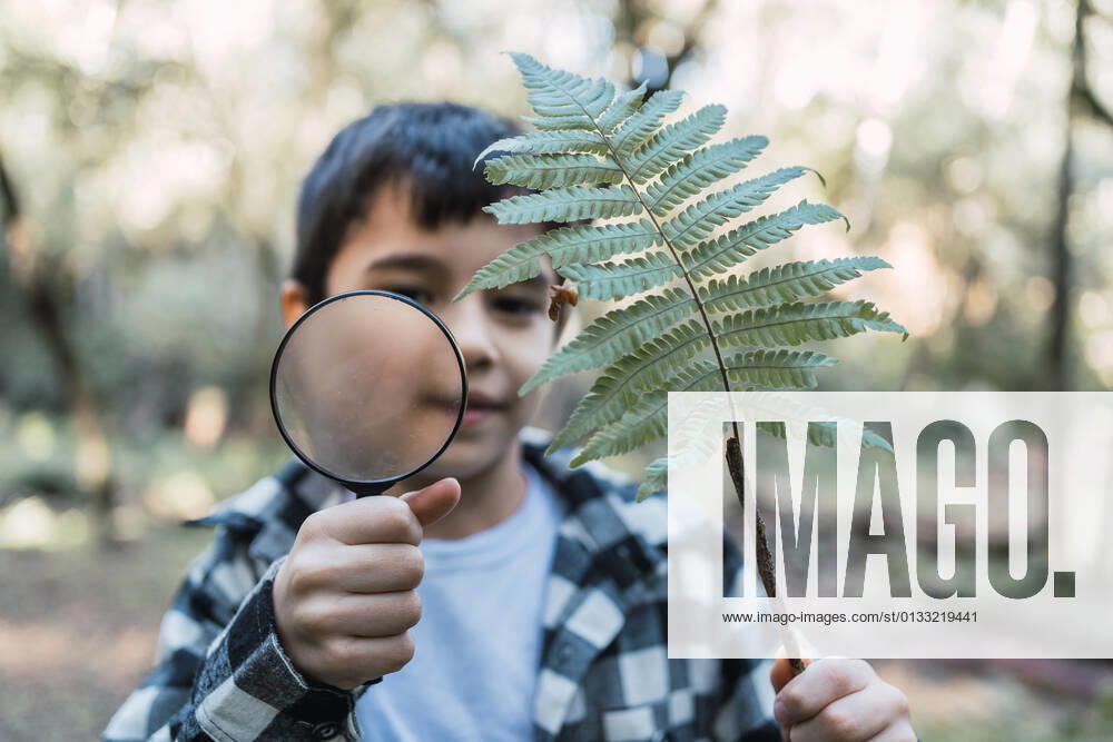 Focused child with green plant leaf looking through magnifying glass in woods on blurred background, Model released ReneStevens_ExplorerKids_17.jpg