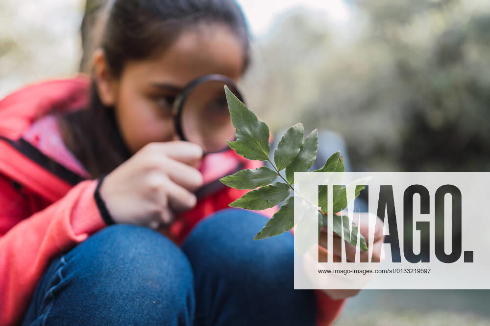 Focused child with green plant leaf looking through magnifying glass in woods on blurred background, Model released ReneStevens_ExplorerKids_6.jpg