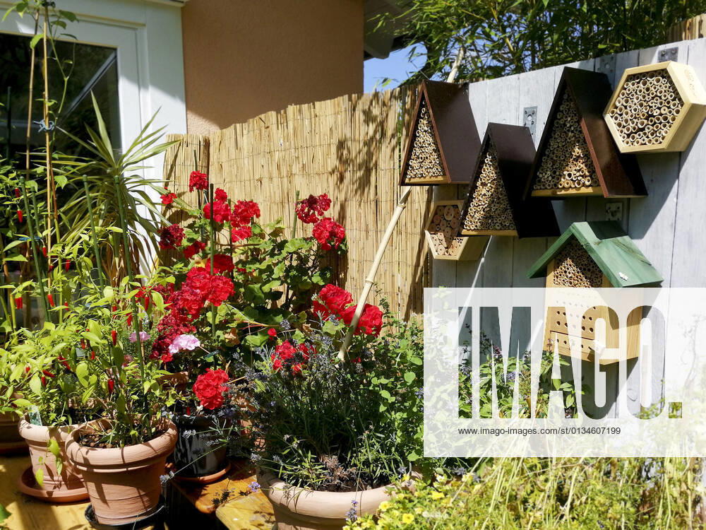 Garten,balkon,topfpflanzen,terrasse,nisthilfe,insektenhotel,gartenanlage,gartenanlagen,gärten,balkone,balkons,pflanze,pflanzen,topfpflanze,terrassen,nestbauhilfe,nisthilfen,insekten-nisthilfe,insekten-nisthilfen,insektenasyl,insektenasyle,insektenhaus,insektenhotels,insektenhäuser,insektenkasten,insektennisthilfe,insektennisthilfen