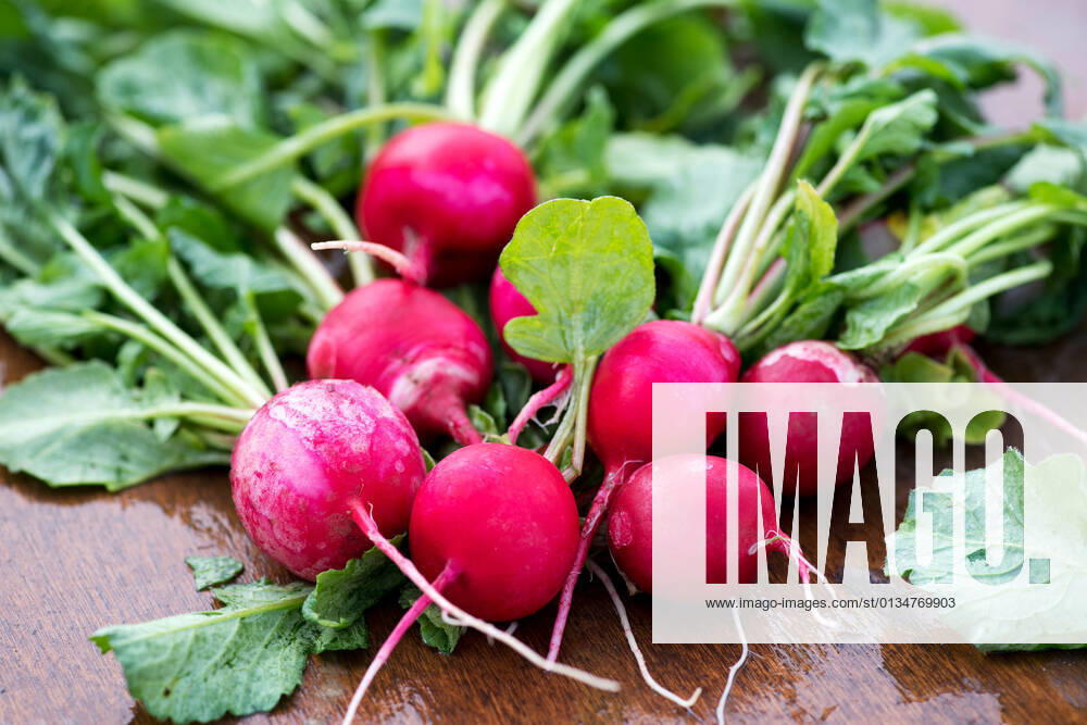 IMAGO Creative, Sommer, Food, Radieschen radieschen