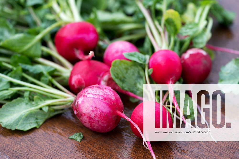 IMAGO Creative, Sommer, Food, Radieschen radieschen