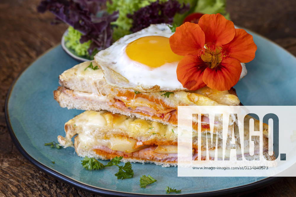Sandwich,schinkensandwich,croque madame,sandwiches