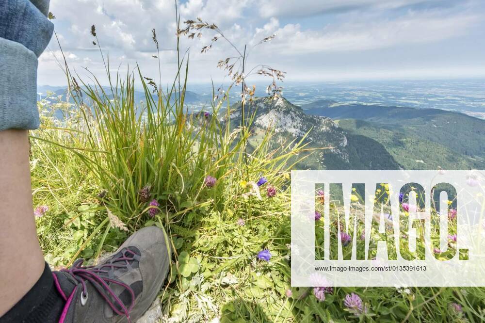 IMAGO Creative: Sommer, In den Bergen Wild Herbs in front of a Mountain Massif with Clouds and a Leg, 12.10.2020,