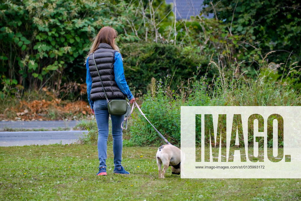 Düsseldorf 24.09.2021 Hund Hunde Gassi gehen gassigehen Spaziergänger spazieren Spaziergang Düsseldorf Nordrhein-Westfalen Deutschland