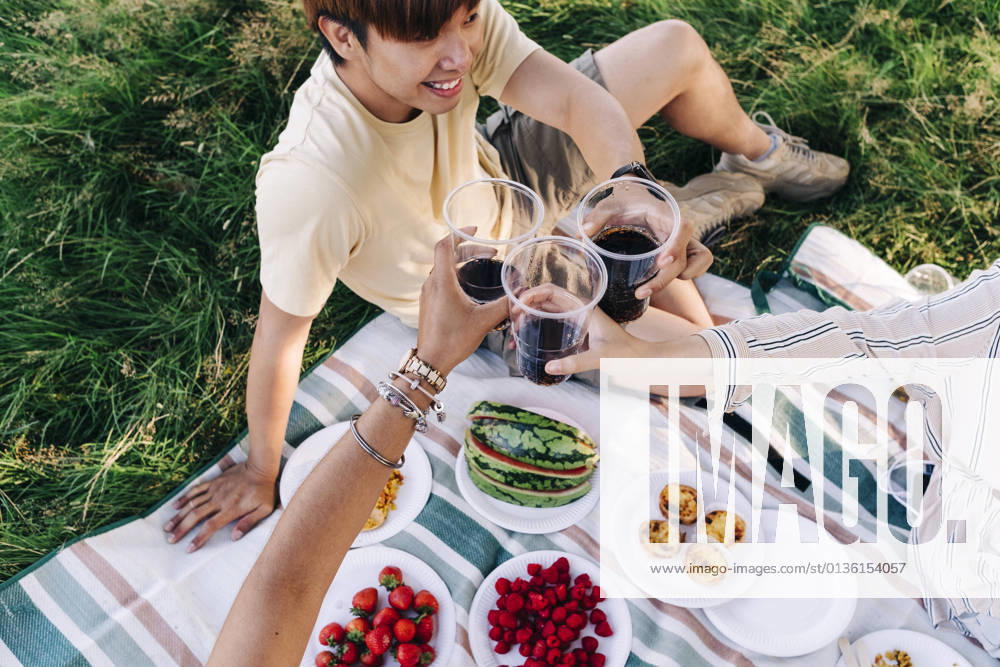 Friends toasting drinks while sitting on picnic blanket model released Symbolfoto ASGF01397
