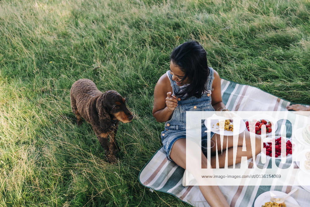 Woman looking at pet while sitting on picnic blanket at park model released Symbolfoto property released ASGF01399