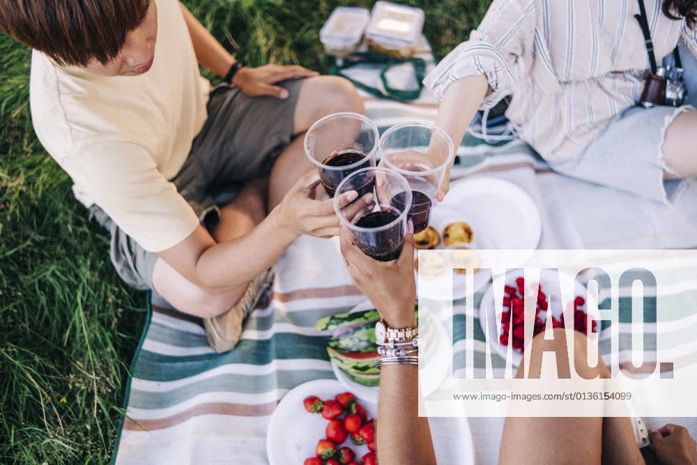 Friends toasting drinks during picnic at park model released Symbolfoto ASGF01402