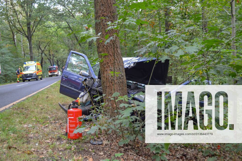 Senftenberg - Peugeot prallt frontal gegen Baum: Fahrer und Hund sterben 27.09.2021 gegen 09:06 Uhr Senftenberg, Senftenberger Str. zwischen Niemtsch und Peikwitz Fotograf: LausitzNews Justin Seidel Zu einem schweren Verkehrsunfall kam es am Montagmorgen auf der Senftenberger Straße zwischen Niemtsch und Peikwitz. Der Fahrer eines Peugeot 306 war in Richtung Peikwitz unterwegs, als er in einem Waldstück unvermittelt nach links von der Straße abkam und frontal gegen einen Baum prallte. Durch den Aufprall wurde das Fahrzeug schwer beschädigt. Ersthelfer waren sofort zur Stelle und eilten zum Unfallfahrzeug. Nach Aussagen vor Ort war der Fahrer ansprechbar und hatte Schmerzen in der Brust. Rettugskräfte kümmerten sich kurze Zeit später