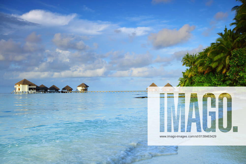 Maldives landscape ocean palm sky